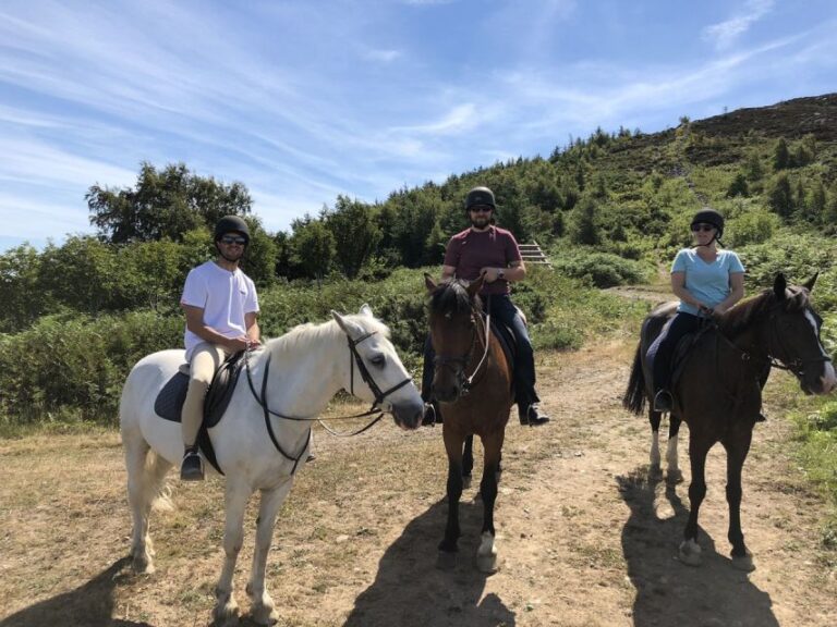 Day Tour of Wicklow Mountains National Park From Dublin