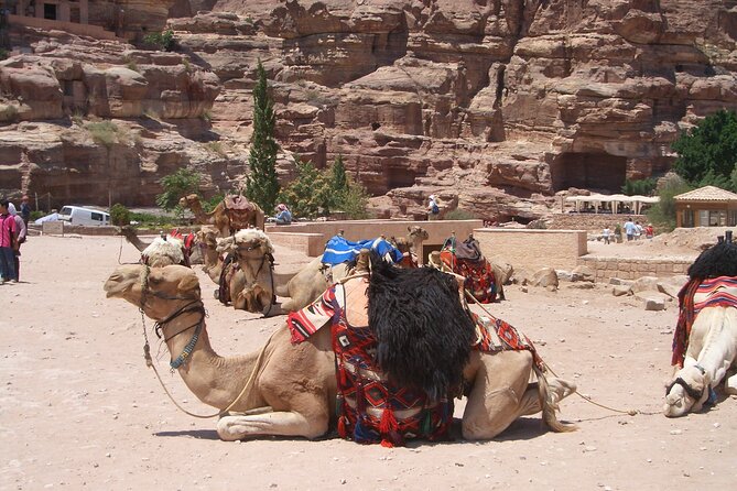 Day Tour to Petra From Dead Sea With Lunch