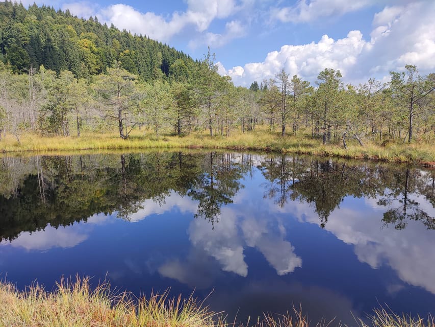 Day Trip & Bear Watching in the Land of Volcanoes - Trip Overview and Pricing