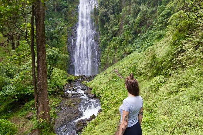 Day Trip Coffee Tour and Materuni Waterfalls