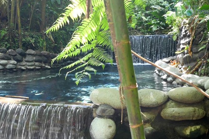 Day Trip From San Jose to Tabacon Hot Springs Resort & Spa