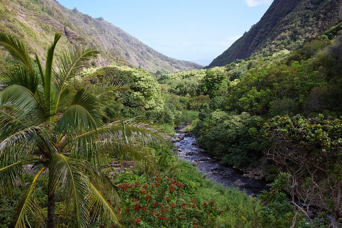 Day Trip Oahu to Maui Haleakala, Iao Valley & Central Maui - Tour Inclusions