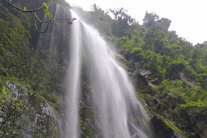 Day Trip to La Chorrera Park—Hiking Experience to Highest Waterfall in Colombia - Overview and Highlights