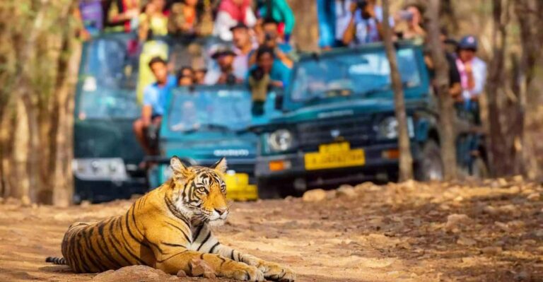 Delhi: Private 5 Days Golden Triangle Tour With Tiger Safari