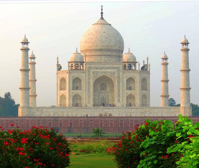 Delhi to Agra: Full Day of History and Culture - Overview of the Tour