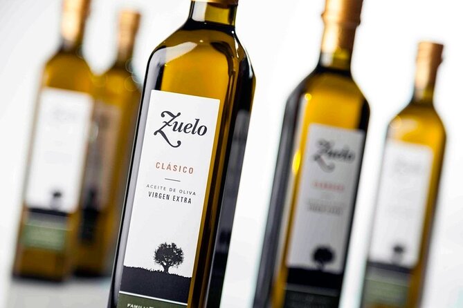 Deluxe Mendoza Half-Day Wine Tasting Tour - Tour Overview