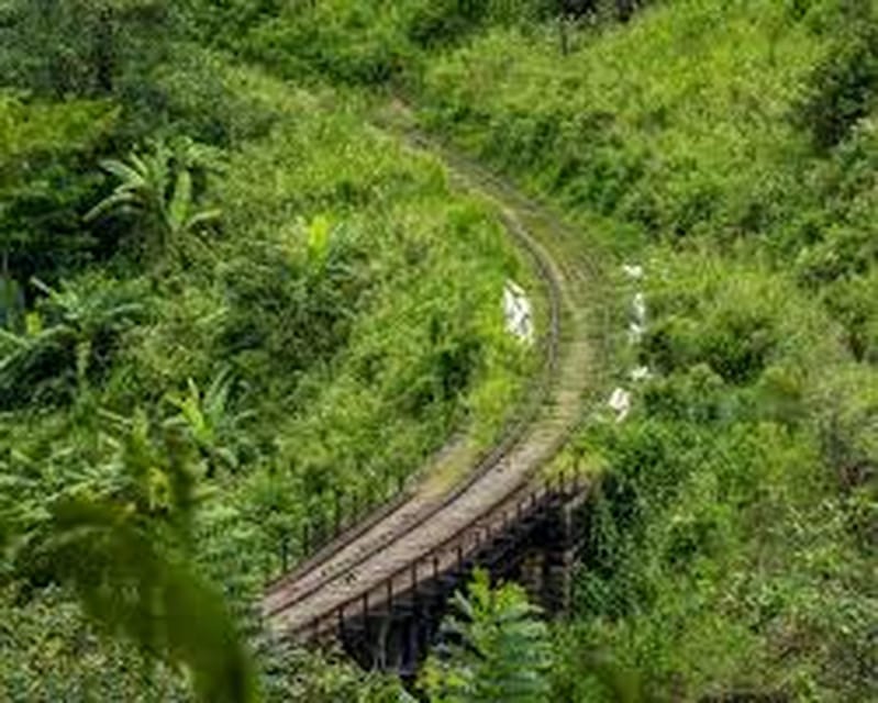 Demodara Railway Station to Ella Hotel TukTuk Transfer - Service Overview