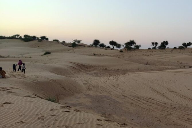 Desert Camel & Jeep Safari Private Tour From Jodhpur - Tour Overview