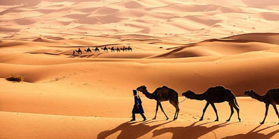 Desert Dreams: Luxury Camp Experience 3-Day Merzouga