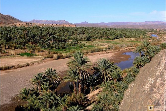 Desert Odyssey: a 2-Day Journey From Marrakech to Zagora