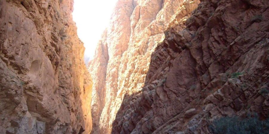 Desert of Merzouga 2 Days 1 Night & Luxury Bivouac & Dromedary