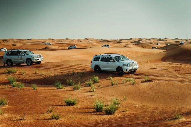 Desert Safari 1 Hour Dune Bashing, BBQ, Belly Dance & Quad Bike