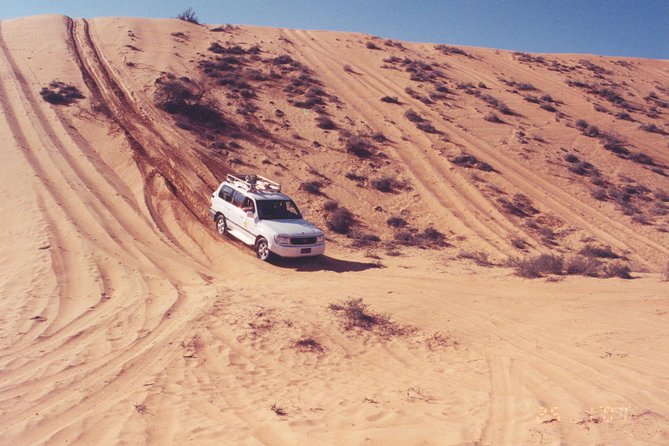Desert Safari to Wahiba Sands and Wadi Bani Khalid From Muscat