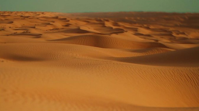 Desert Safari