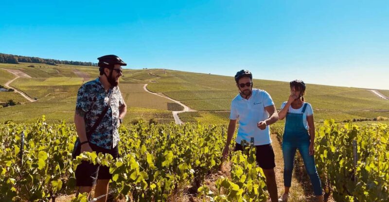 Dijon/Beaune: Full Day Ebike Burgundy Tour, Tastings & Lunch - Itinerary Highlights