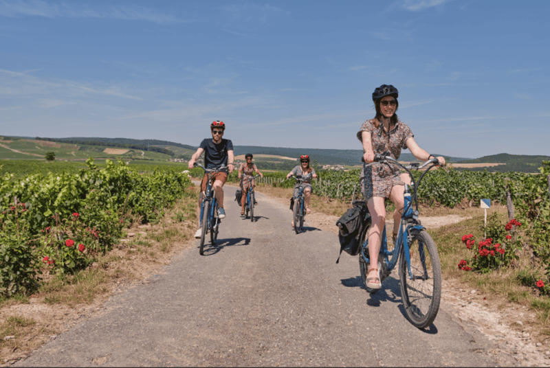 Dijon/Beaune: Full Day Ebike Burgundy Tour, Tastings & Lunch - Customer Reviews