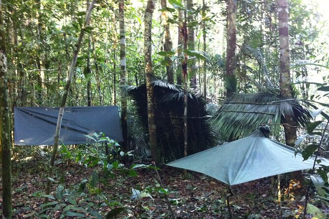Dinner and Overnight in the Jungle in Manaus