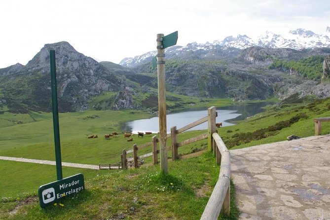 Direct Tour to Covadonga Lakes Picos De Europa From Oviedo