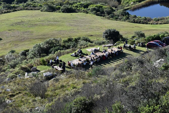 Discover a Hidden Vineyard off the Beaten Track!