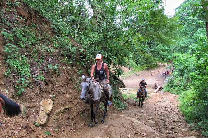 3 Best National Park Tours In Cartagena