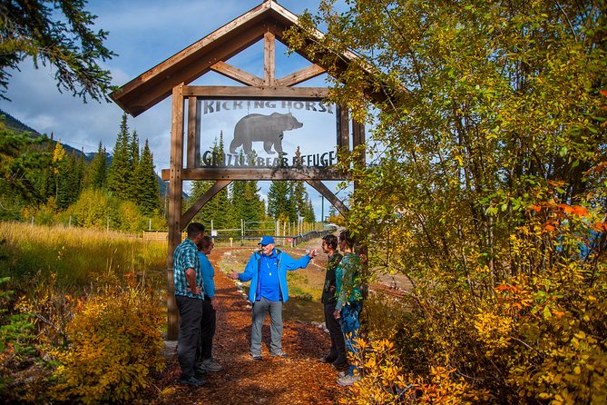 Discover Grizzly Bears From Banff