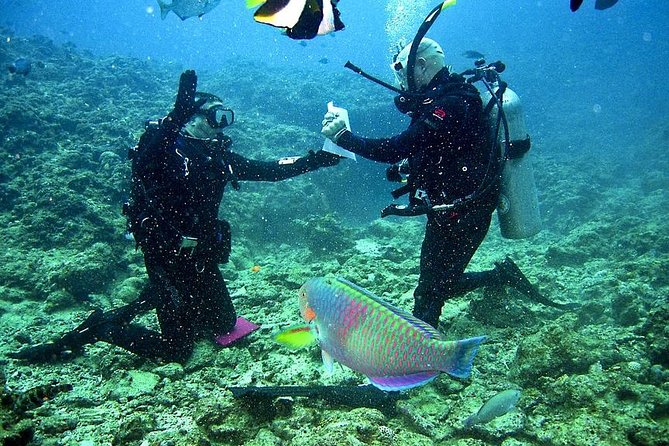 Discover Scuba Diving in Falmouth