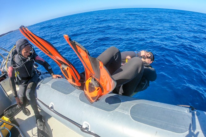 Discover Scuba Diving: Training Plus Boat Dive!