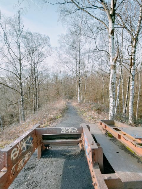 Discover the Liège Nature on Trail / Hiking-Running - Unique Trail Running Experience