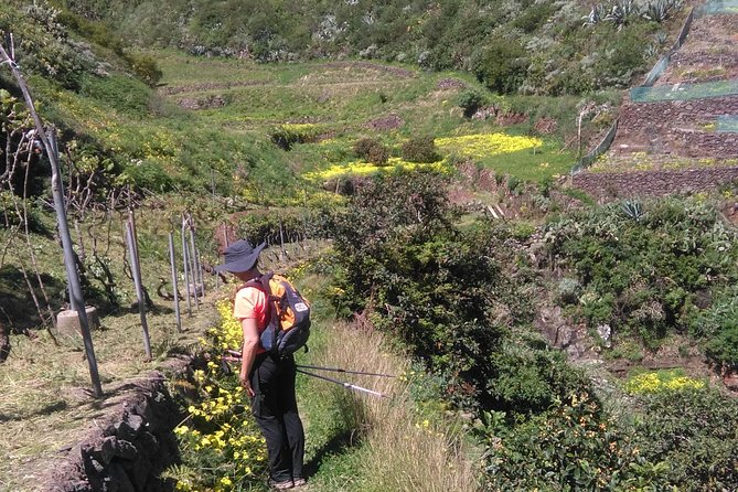 Discover the Lost Paradise of Anaga in Tenerife
