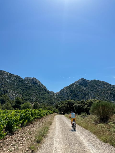 Discover the Massif Des Alpilles by Bike - Tour Details and Pricing