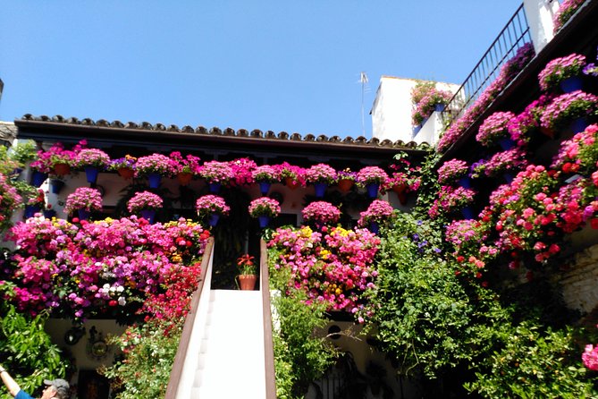 Discover the Patios of Córdoba: Guided Tour