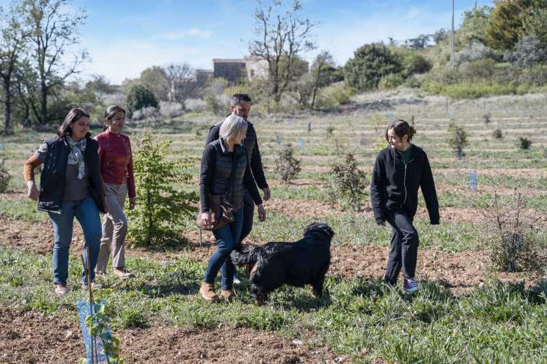 Discover Truffles From the Farm to the Fork - Experience Overview