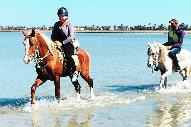 Discovery Ride on Horseback or Camel 2h30 - Itinerary Details