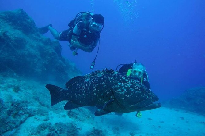 Diving At Galleon and Chimney Review