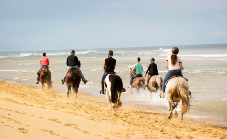 Djerba: Guided Horseback Riding Tour