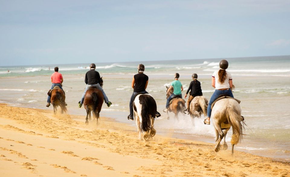 Djerba: Guided Horseback Riding Tour - Tour Overview