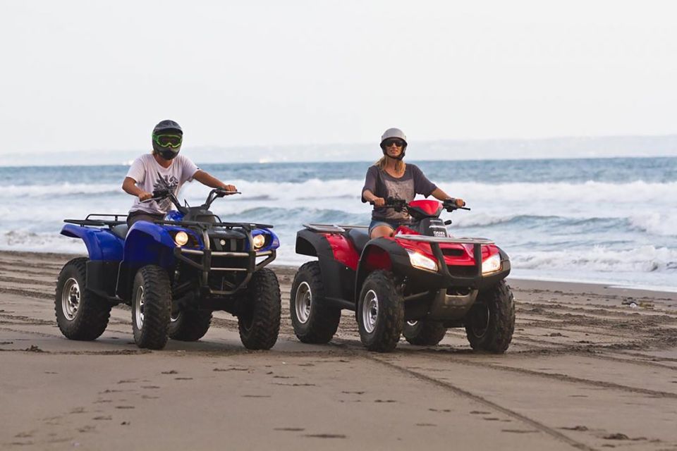 Djerba Island: Quad Biking Excursion - Price and Booking