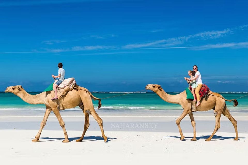 Djerba: Lagoon Camel Ride Experience - Activity Overview