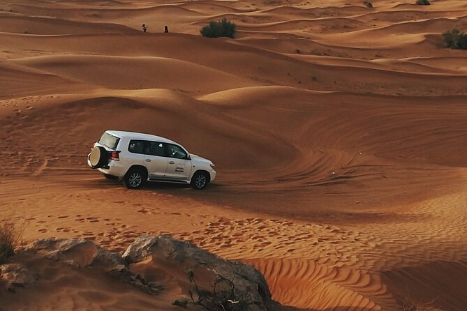 Doha Private Half-Day Guided Desert Safari Tour