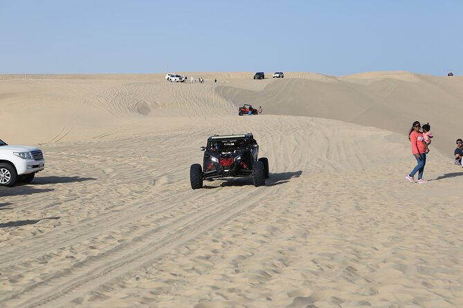 Doha; Sunrise Desert Tour and Camel Safari 4hrs - Tour Overview