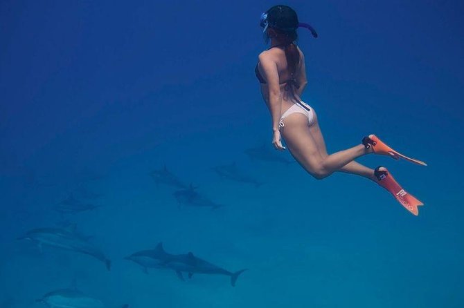 Dolphin House Royal VIP Special Day Snorkeling Sea Trip With Lunch - Hurghada