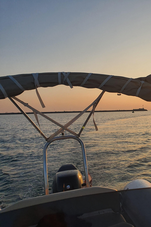 Dolphin Safari Every Evening