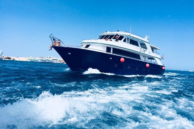 Dolphin Tour in Hurghada