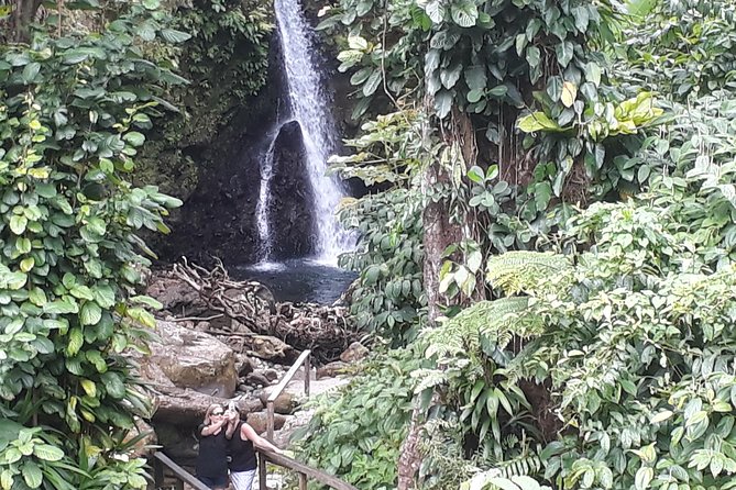 Dominica Half-Day Tour: Mero Beach, Waterfalls, Mineral Bath Wotten Waven