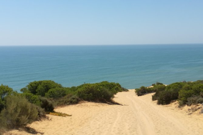 Donana National Park and El Rocío: Private Tour From Seville