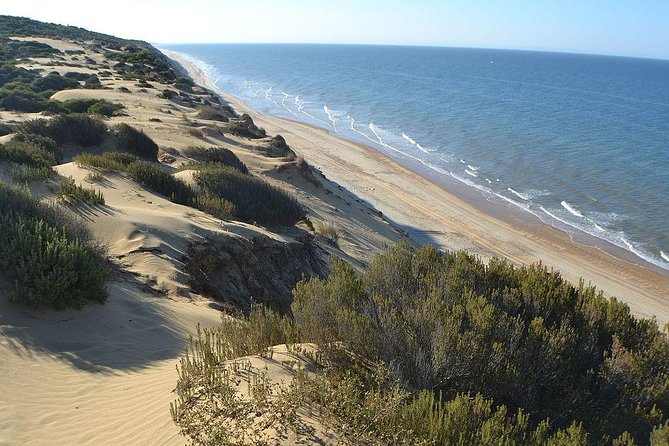 Donana National Park Horse or 4x4 Riding Day Trip