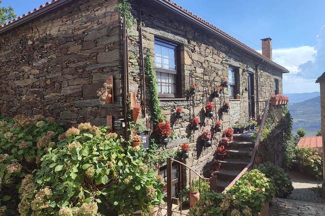 Douro Valley Amazing Wine Tours