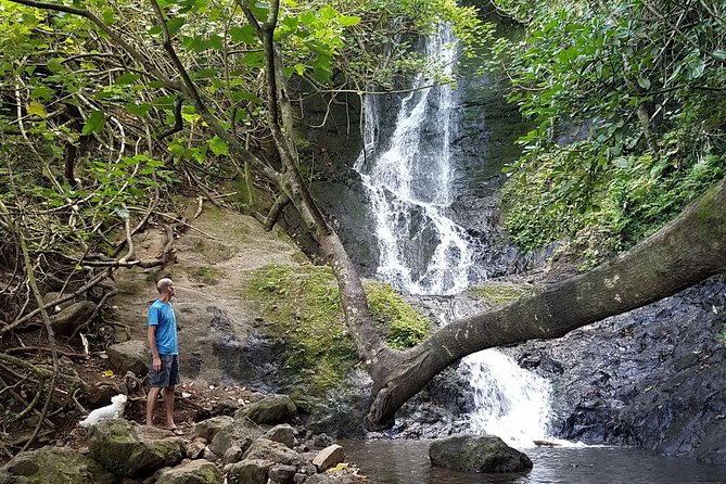 Downhill Bike and Koolau Waterfall Hike Tour