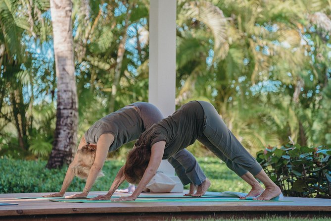 Drop-In Group Yoga Class - Punta Cana