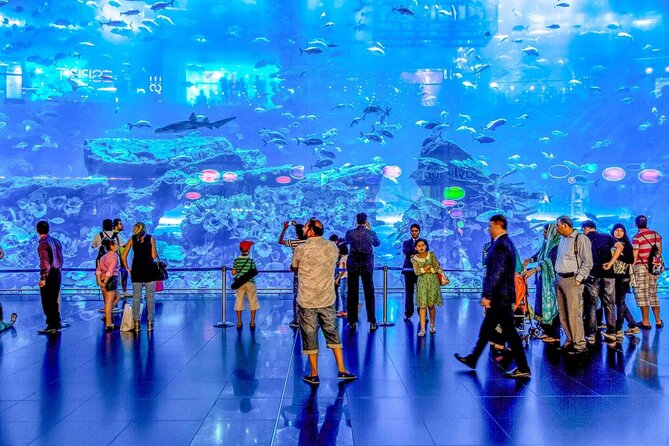 Dubai Aquarium and Underwater Zoo